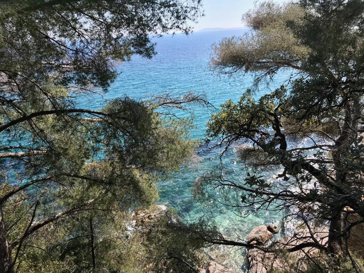 Villa Les Alizes Le Le Rayol-Canadel-sur-Mer Екстериор снимка