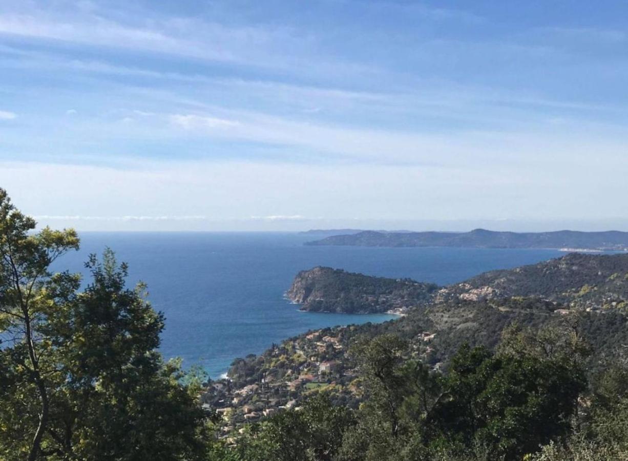 Villa Les Alizes Le Le Rayol-Canadel-sur-Mer Екстериор снимка