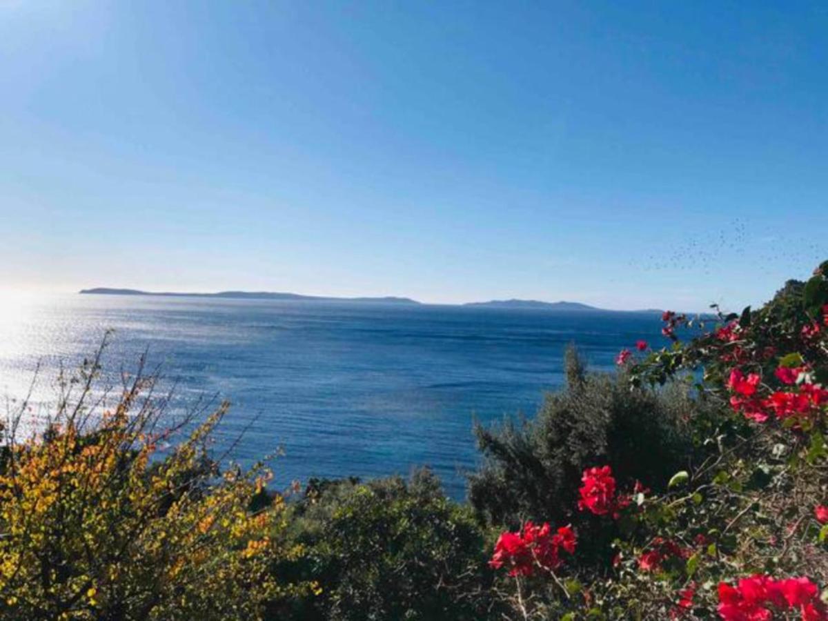 Villa Les Alizes Le Le Rayol-Canadel-sur-Mer Екстериор снимка