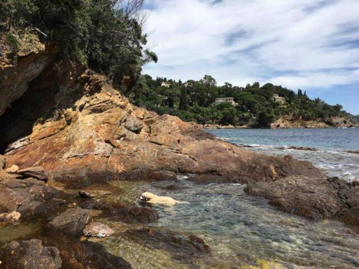 Villa Les Alizes Le Le Rayol-Canadel-sur-Mer Екстериор снимка