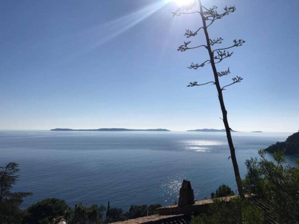 Villa Les Alizes Le Le Rayol-Canadel-sur-Mer Екстериор снимка