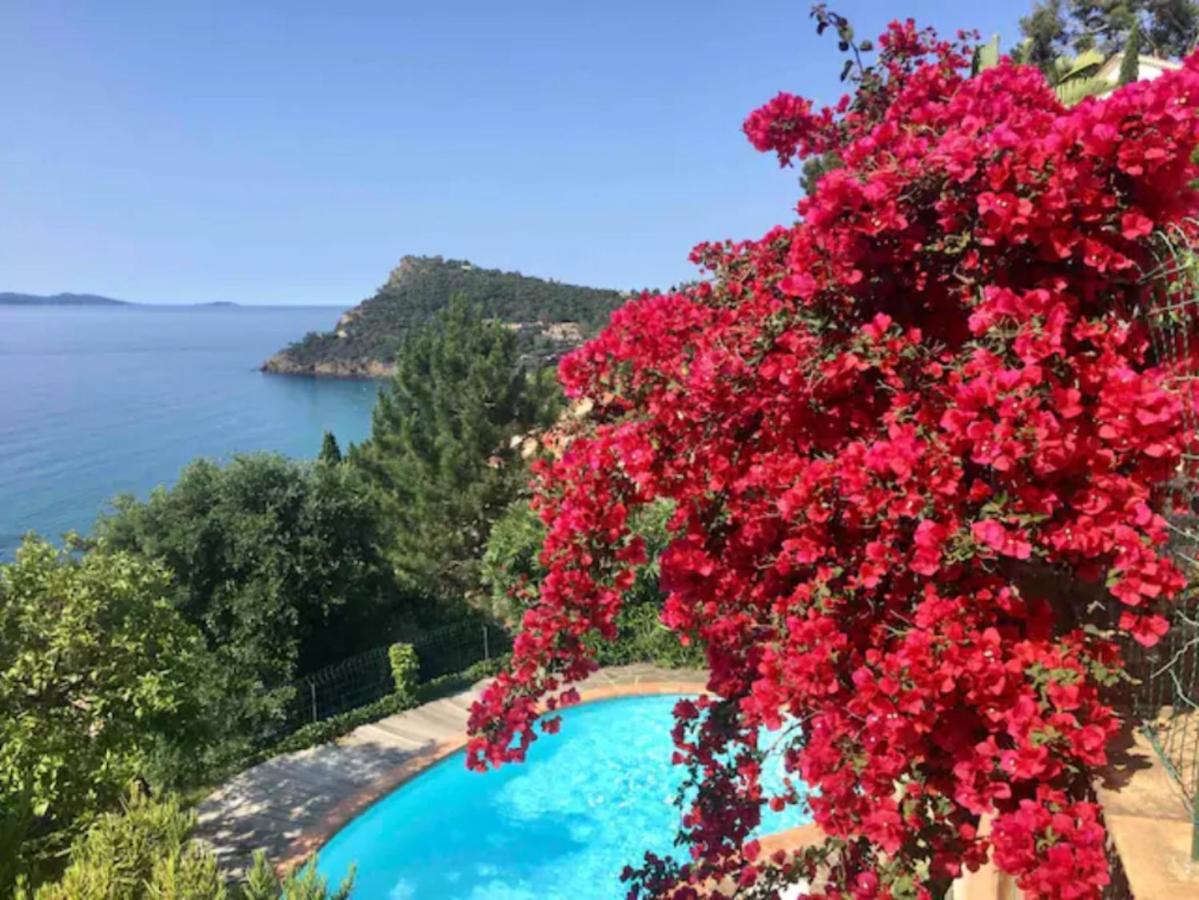 Villa Les Alizes Le Le Rayol-Canadel-sur-Mer Екстериор снимка