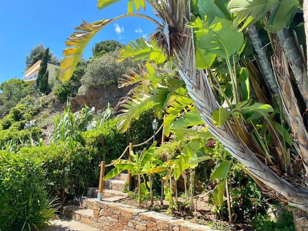 Villa Les Alizes Le Le Rayol-Canadel-sur-Mer Екстериор снимка