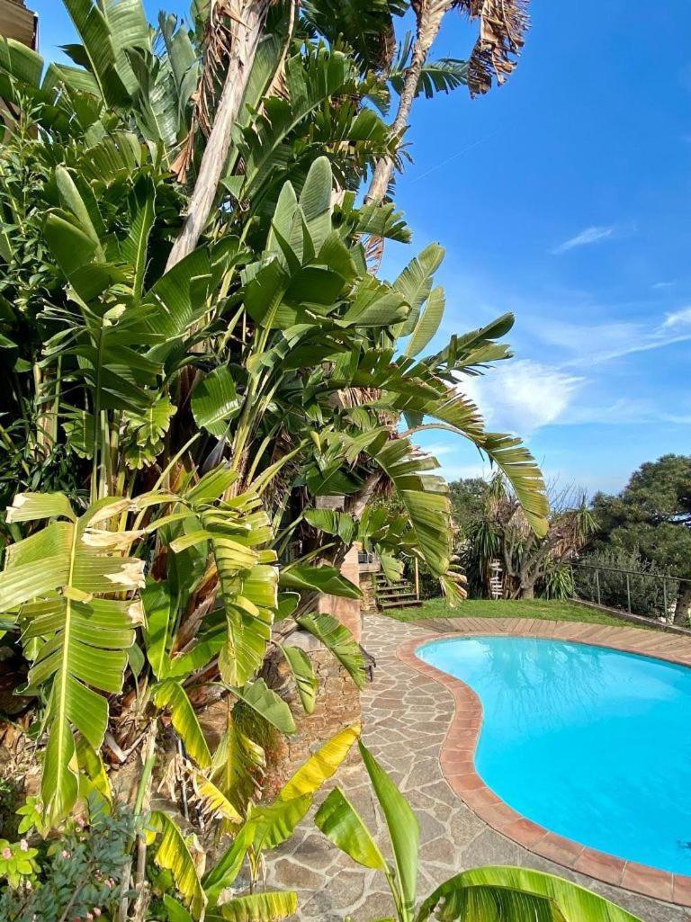 Villa Les Alizes Le Le Rayol-Canadel-sur-Mer Екстериор снимка