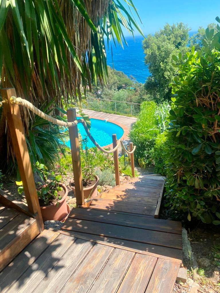 Villa Les Alizes Le Le Rayol-Canadel-sur-Mer Екстериор снимка
