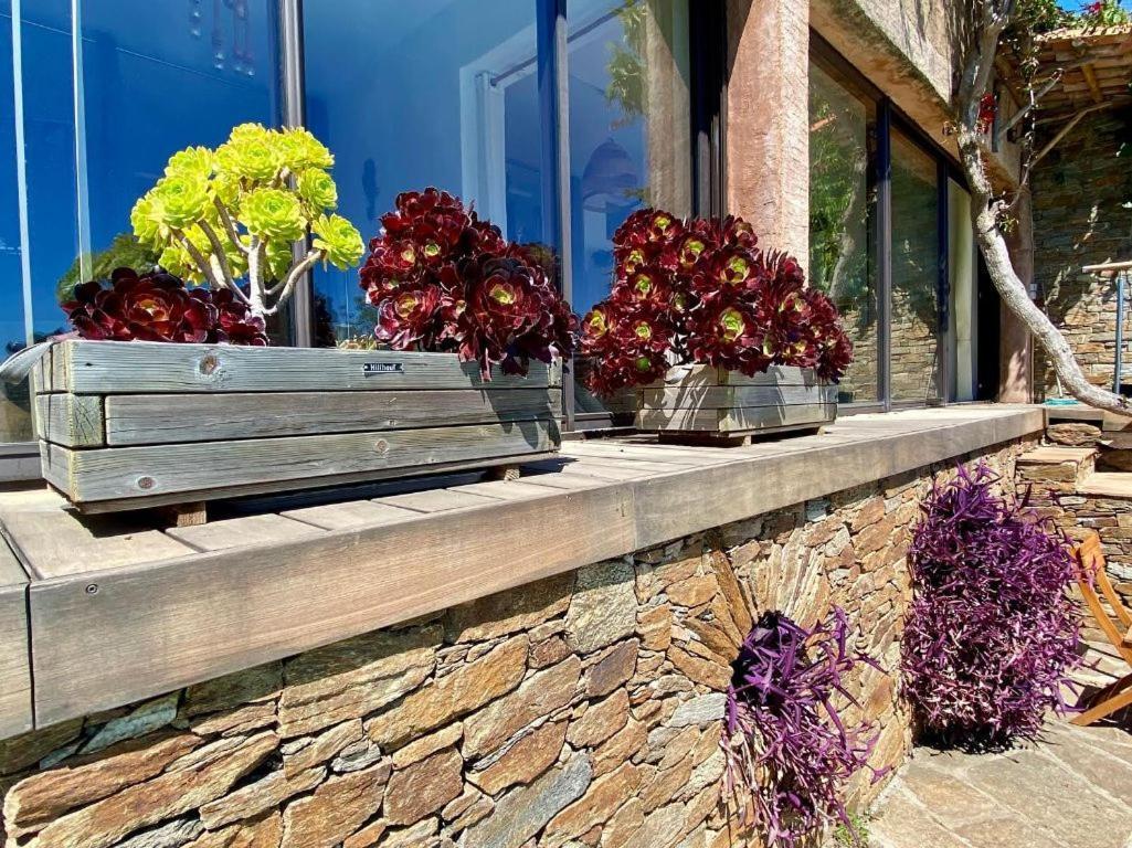 Villa Les Alizes Le Le Rayol-Canadel-sur-Mer Екстериор снимка