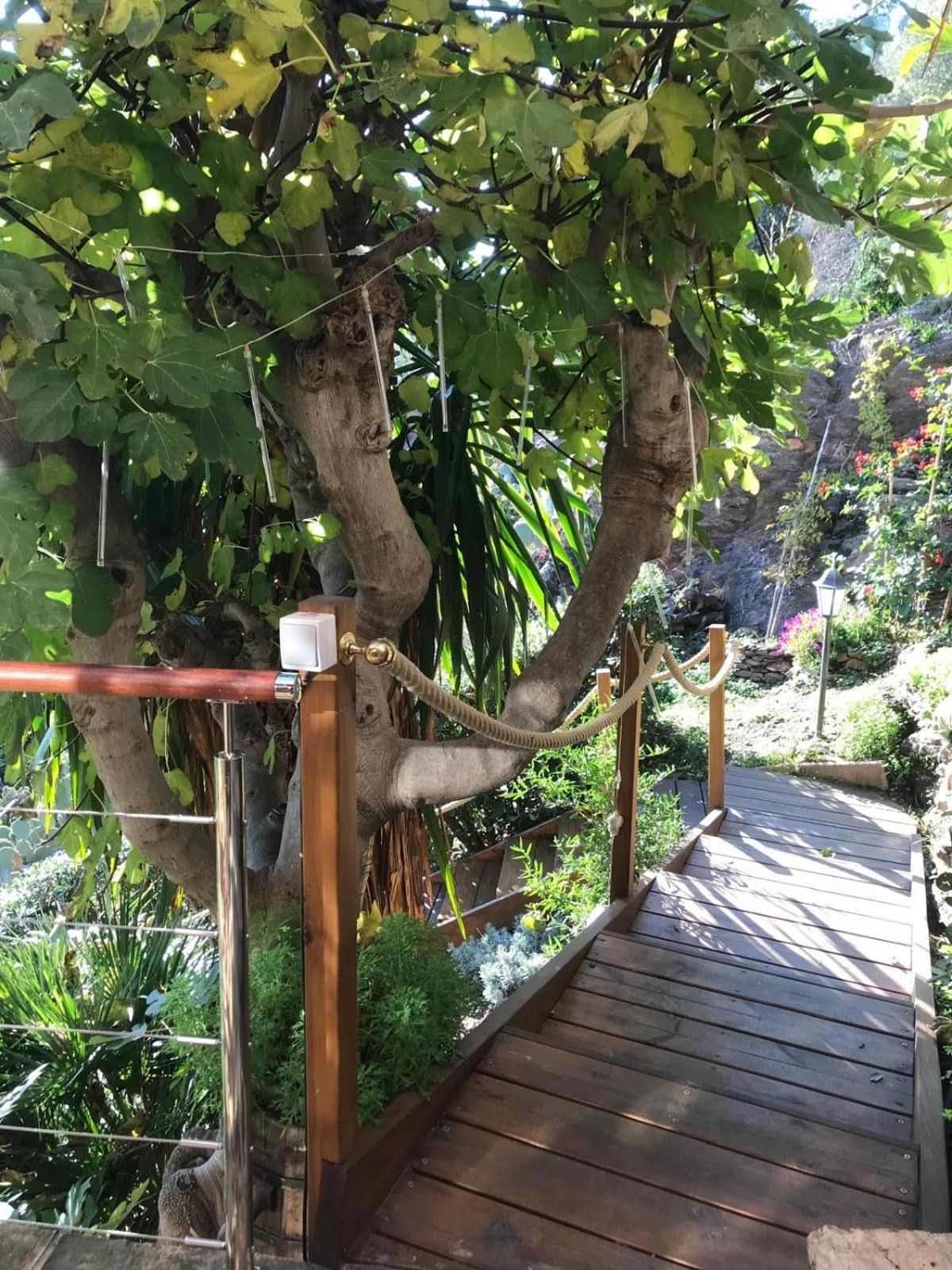 Villa Les Alizes Le Le Rayol-Canadel-sur-Mer Екстериор снимка
